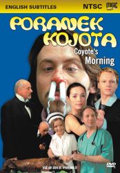 COYOTE'S MORNING